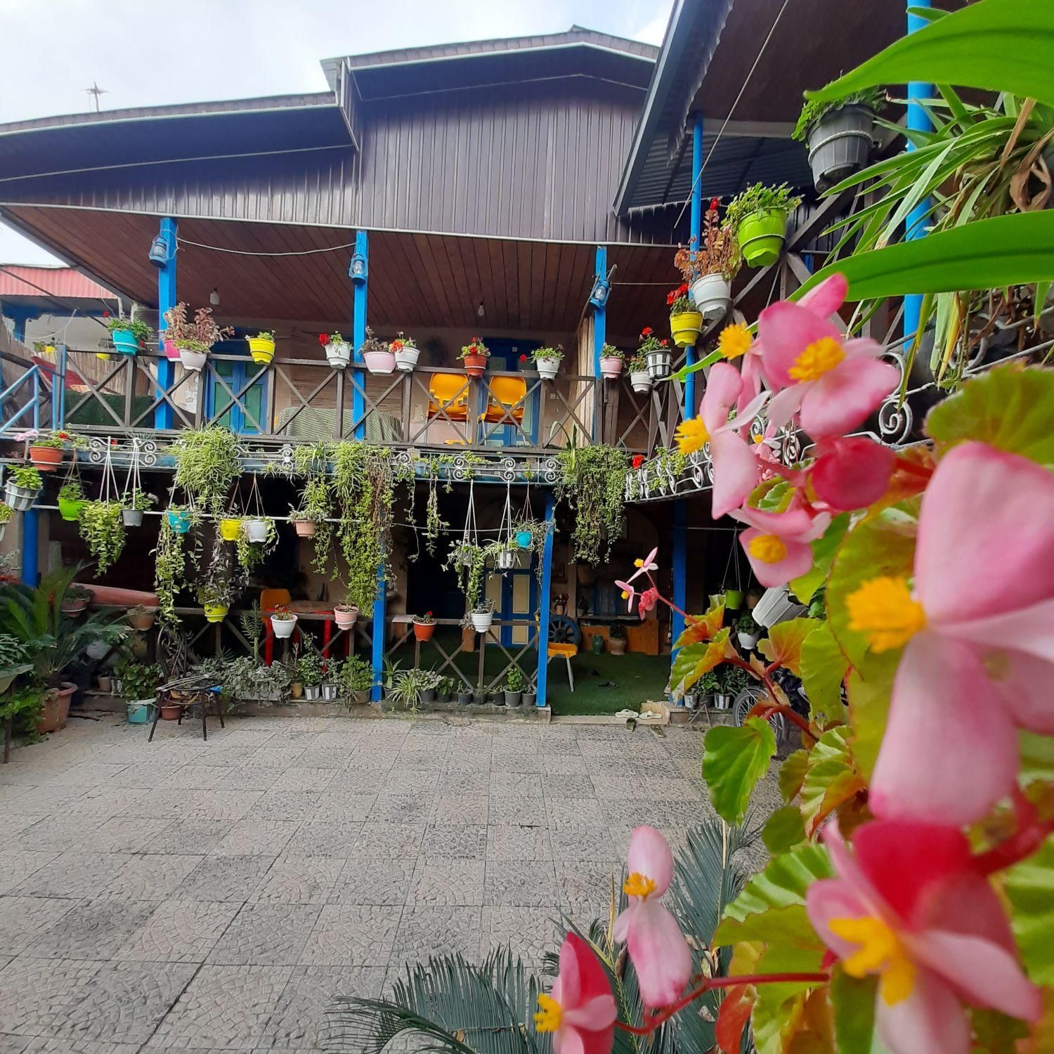 سوییت کلبه جنگلی سنتی|اجارهٔ کوتاه‌مدت ویلا و باغ|علی‌آباد کتول, |دیوار