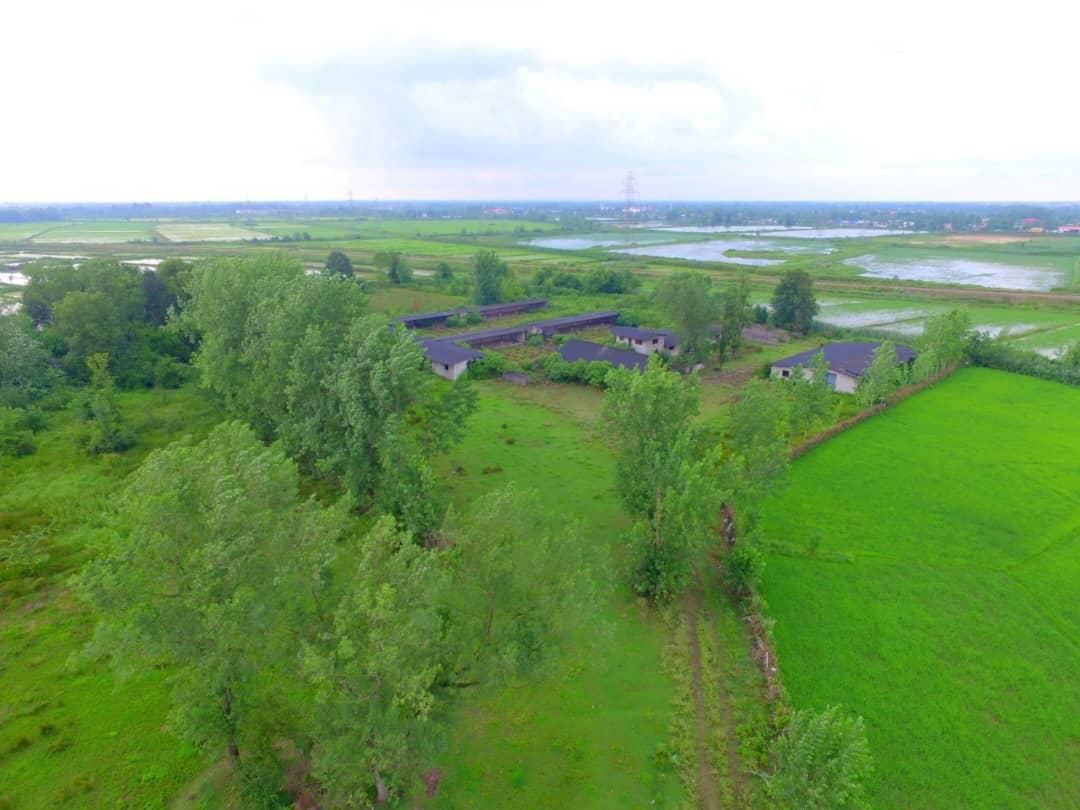 فروش زمین ۲۳۰۰۰متری|فروش زمین و ملک کلنگی|رشت, آزادگان|دیوار