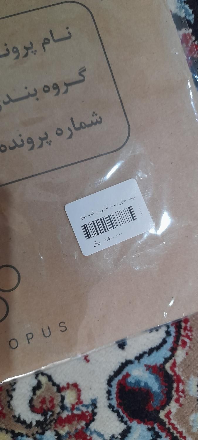 پرونده جنایی (بمب گذاری در کیپ خوزه)|اسباب‌‌بازی|قم, چهل درخت‎|دیوار