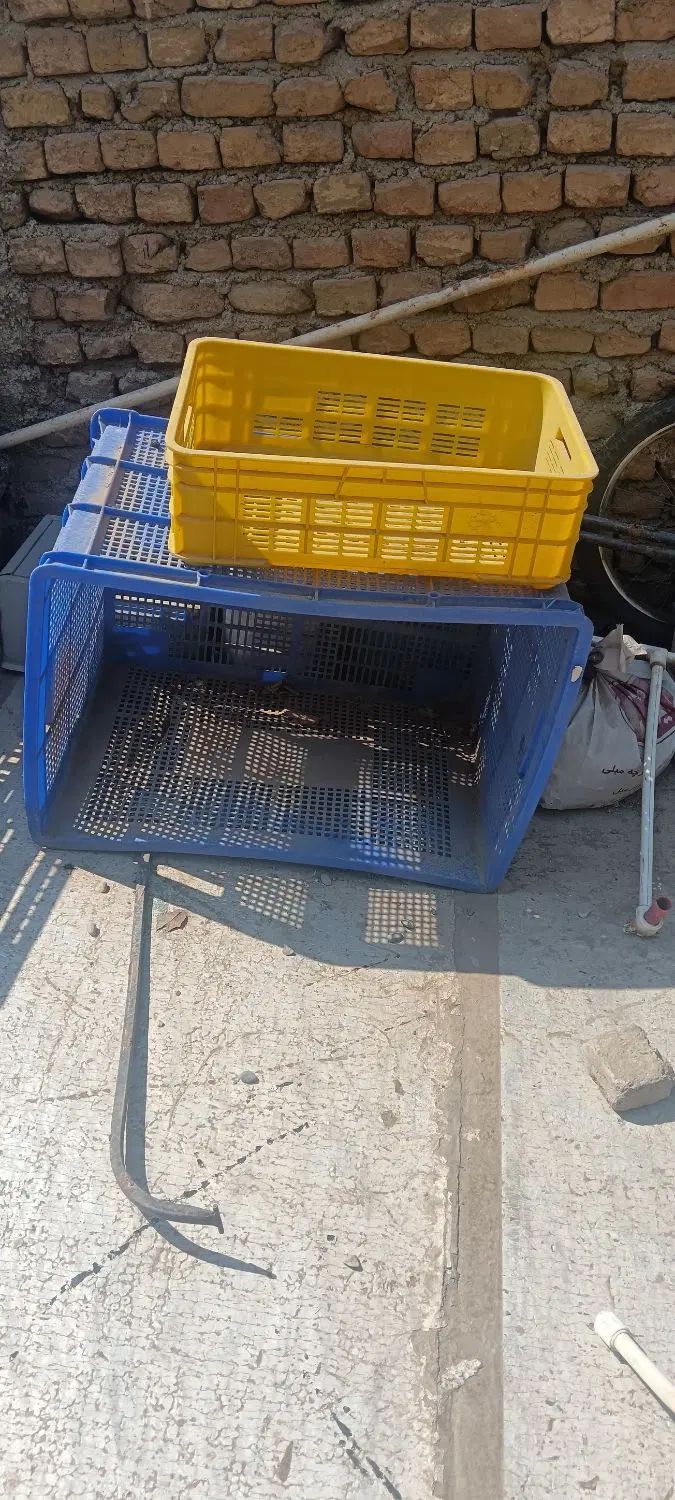 سبد|ظروف نگهدارنده، پلاستیکی، یک‌بارمصرف|تهران, شهرک استقلال|دیوار