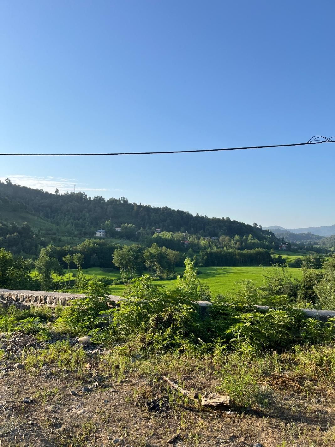 زمین ۵۳۰متری  مسکونی  ویو بی نظیر|فروش زمین و ملک کلنگی|لاهیجان, قیام|دیوار