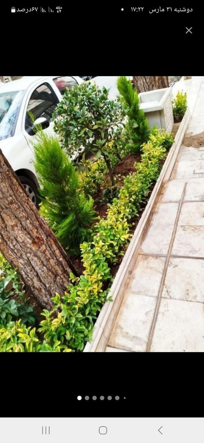 خدمات کشاورزی.باغبانی‌گل کاری.تعویض خاک و گلدان|خدمات باغبانی و درختکاری|بیرجند, |دیوار