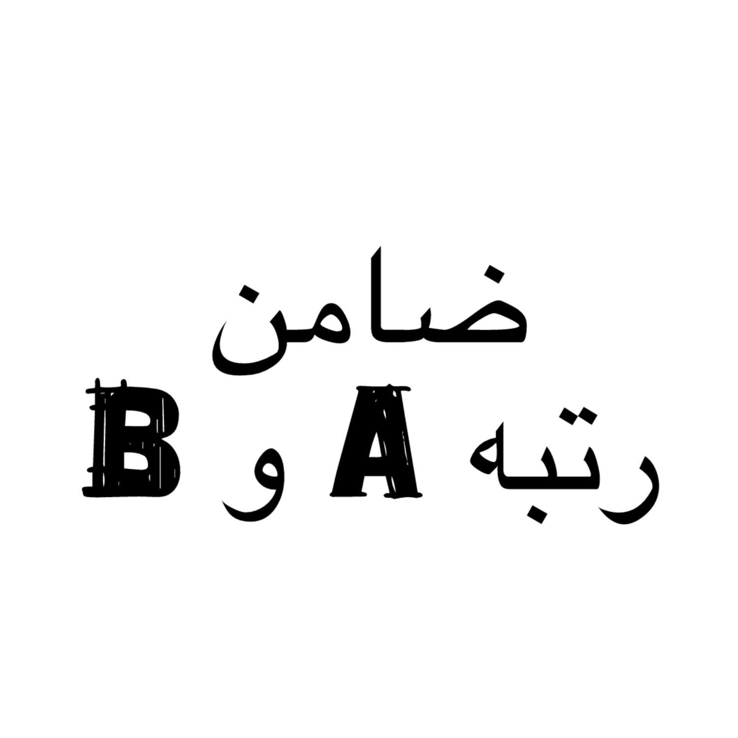 ضامن رتبه A و B بدون نیاز به کسرخقوق و غیره|فعالیت داوطلبانه تحقیقاتی|تهران, فلسطین (میدان انقلاب)|دیوار