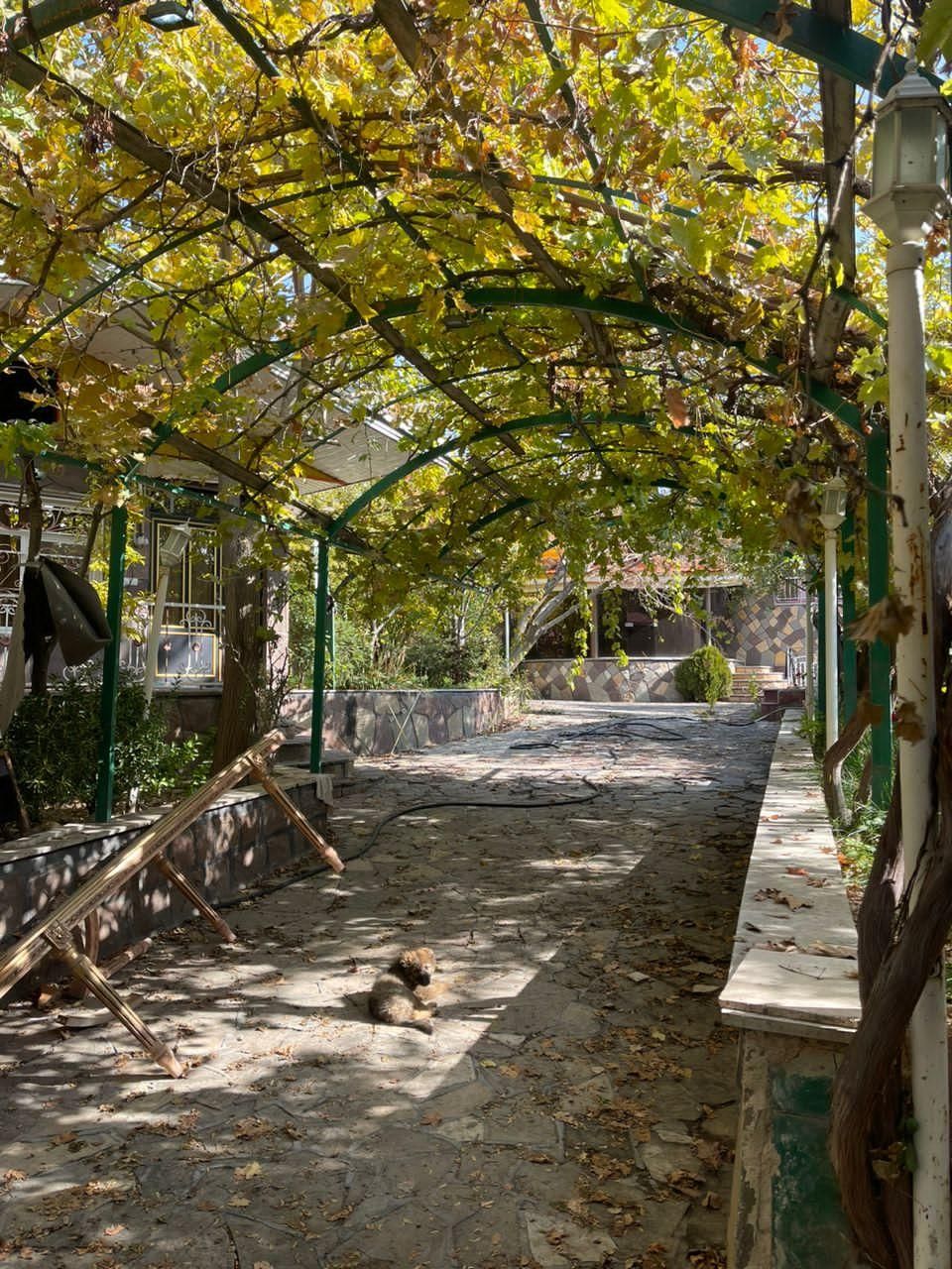 باغ ویلاجنگلی۹۰۰متری بابنا۲۰۰مترسندششدانگ*مهراباد*|فروش خانه و ویلا|رودهن, |دیوار