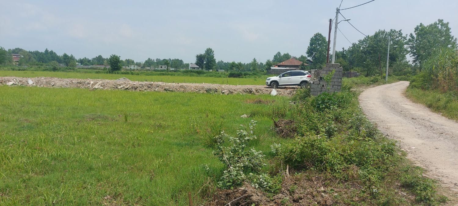 زمین مسکونی|فروش زمین و ملک کلنگی|رشت, لاکان شهر|دیوار