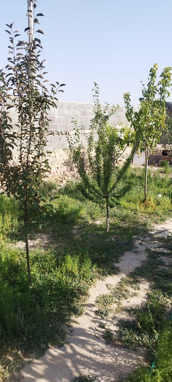 خونه ویلای در روستا چناران|فروش خانه و ویلا|چناران, |دیوار