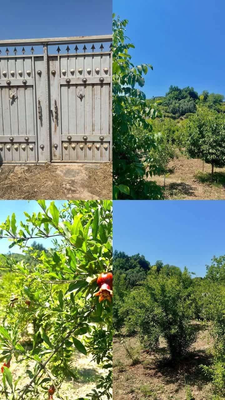 فروش زمین 900 متری روستای تیرتاش مازندران|فروش زمین و ملک کلنگی|گلوگاه, |دیوار