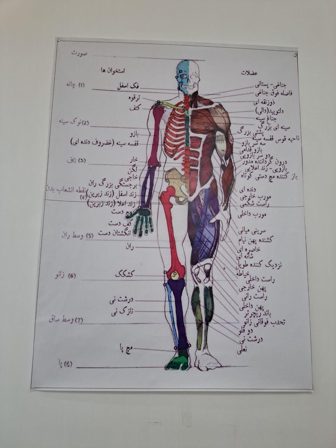 کار در مطب طب سنتی|استخدام درمانی، زیبایی، بهداشتی|تبریز, |دیوار