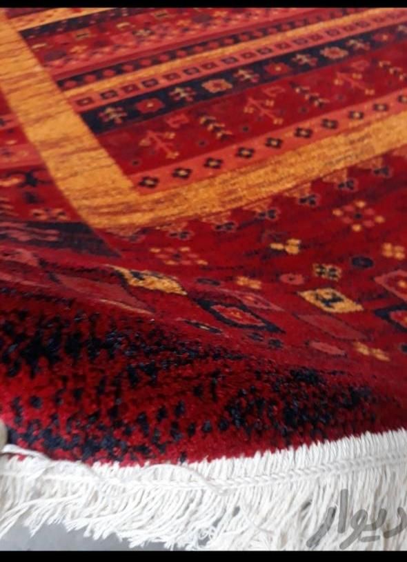 فرش شاهسون عشایری|فرش|نیشابور, دارایی|دیوار