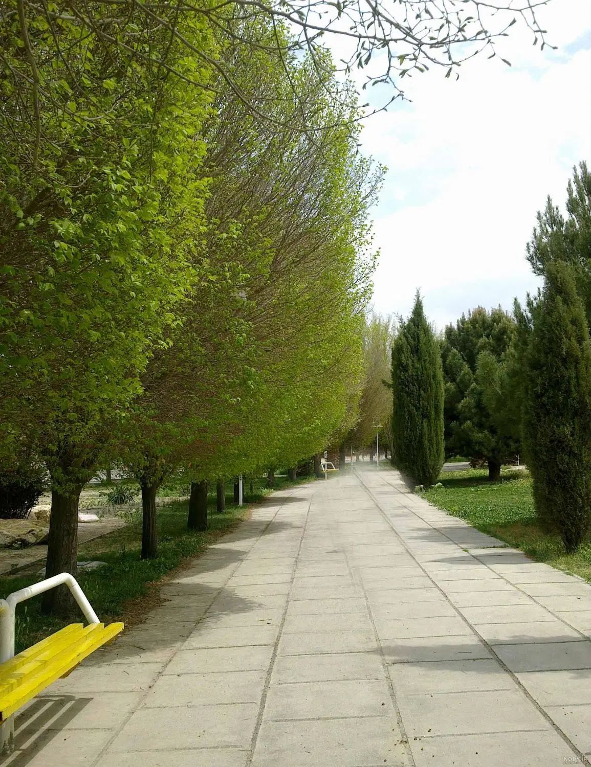 راهنمایی بفرمایید|رویداد ورزشی|تهران, نازی‌آباد|دیوار