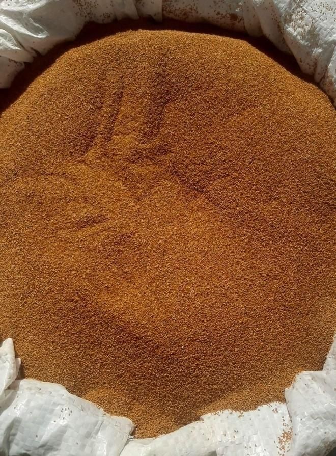آلوبخارا گوشتی و امسالی ارسال جمعه به سراسر مشهد|خوردنی و آشامیدنی|مشهد, بهاران|دیوار