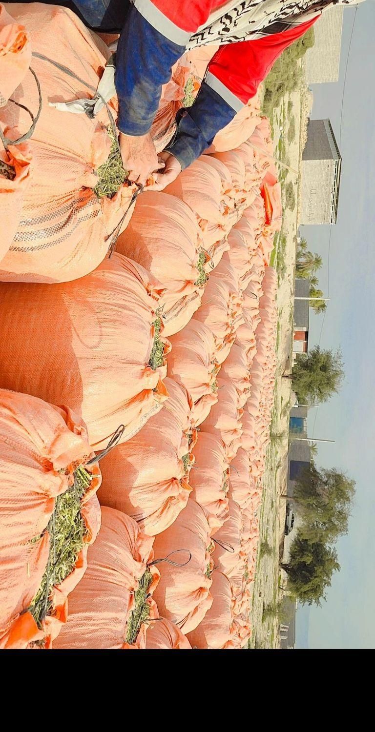 فروش یونجه خورد شده (کاه یونجه)|خدمات باغبانی و درختکاری|بهبهان, |دیوار
