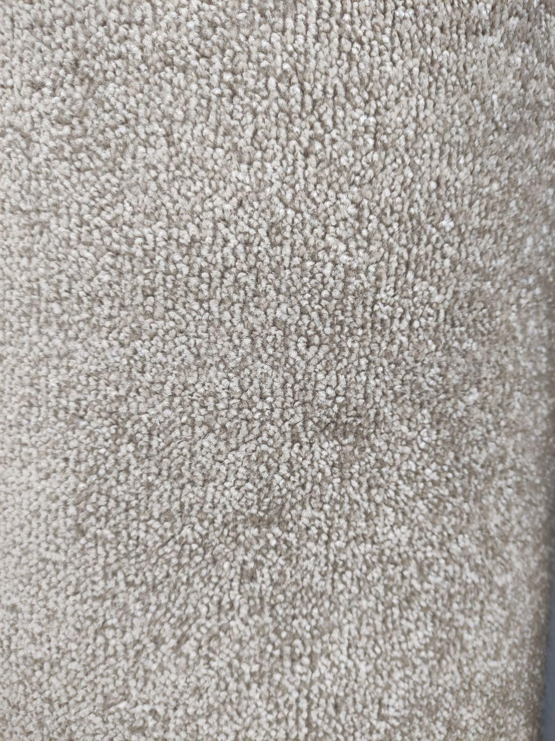 موکت پالاز تافت|موکت|شهریار, شهریار|دیوار