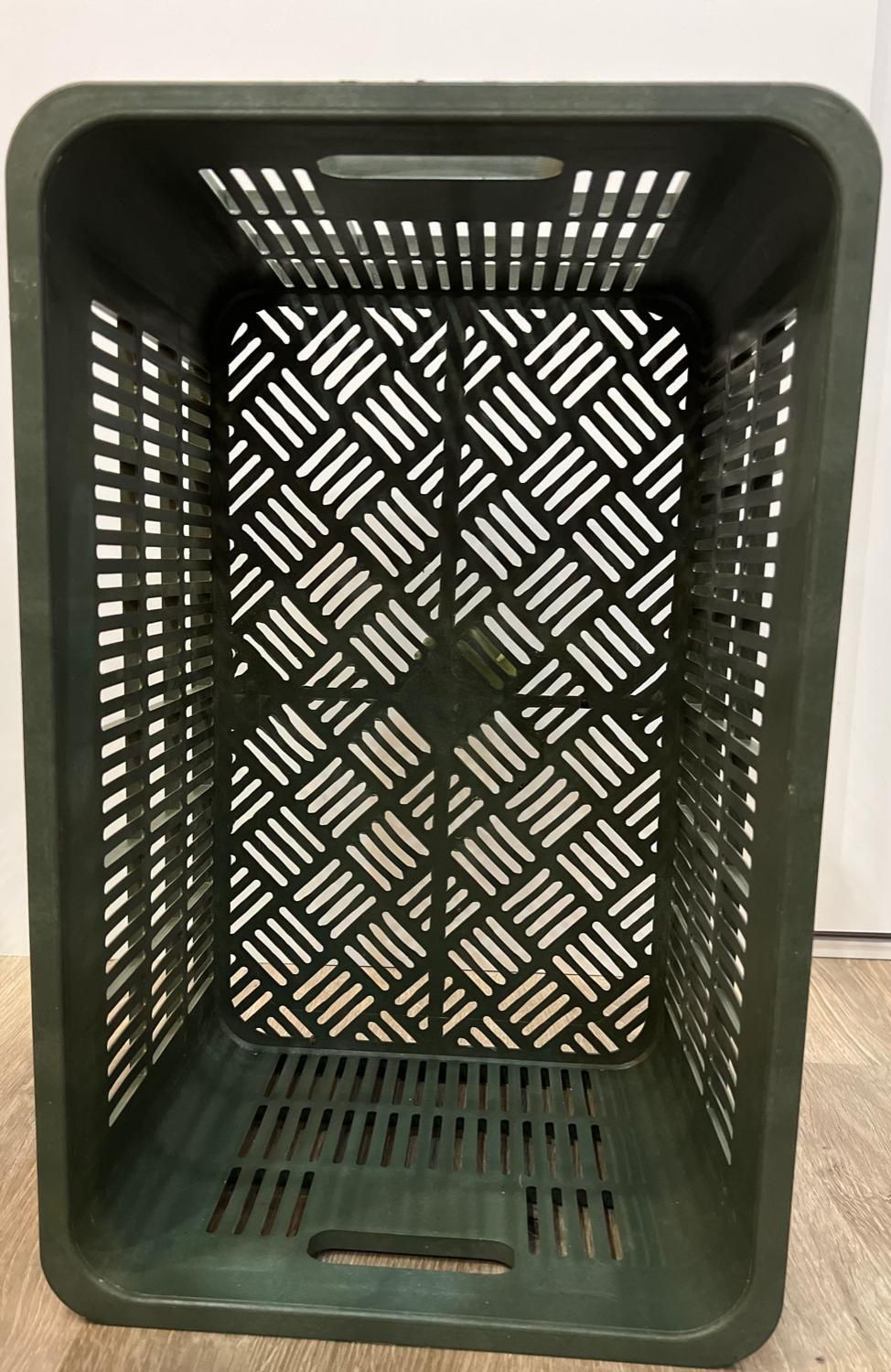 سبد ۲۰ کیلویی سردخانه ایی|عمدهفروشی|گرگان, |دیوار