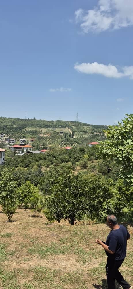 باغچه 400 متری ویودار محصور در مرزیکلا|فروش زمین و ملک کلنگی|مرزیکلا, |دیوار