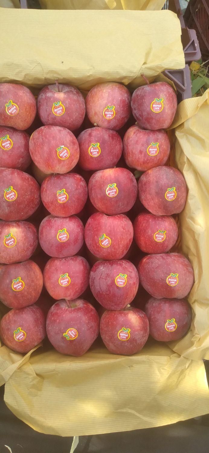 سرکارگرهستم کل کارکشاورزی انجام داده می شود|خدمات باغبانی و درختکاری|شاهین دژ, |دیوار