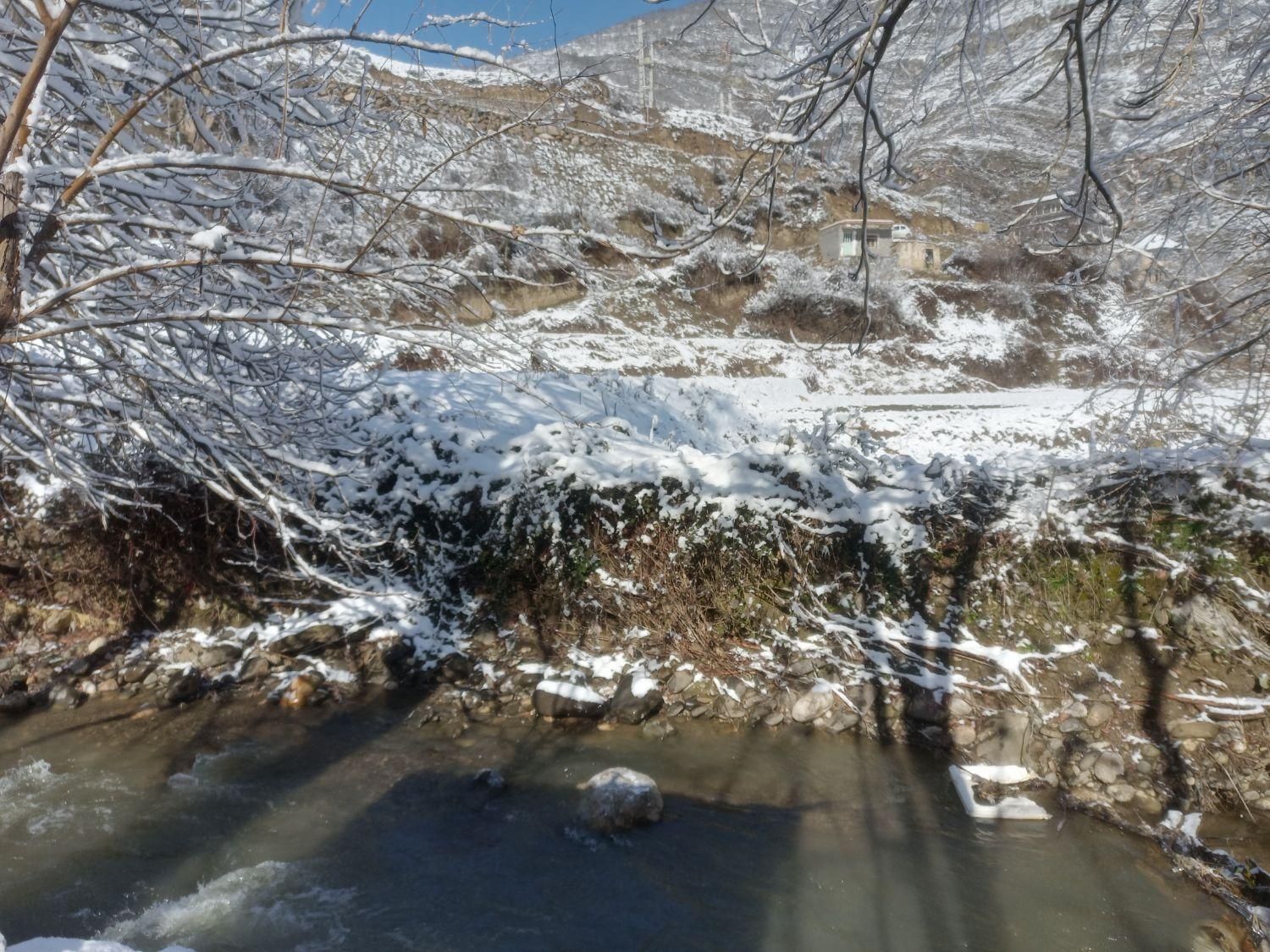 سوییت نوساز وشیک لب رودخانه و دشت|اجارهٔ کوتاهمدت ویلا و باغ|آلاشت, |دیوار