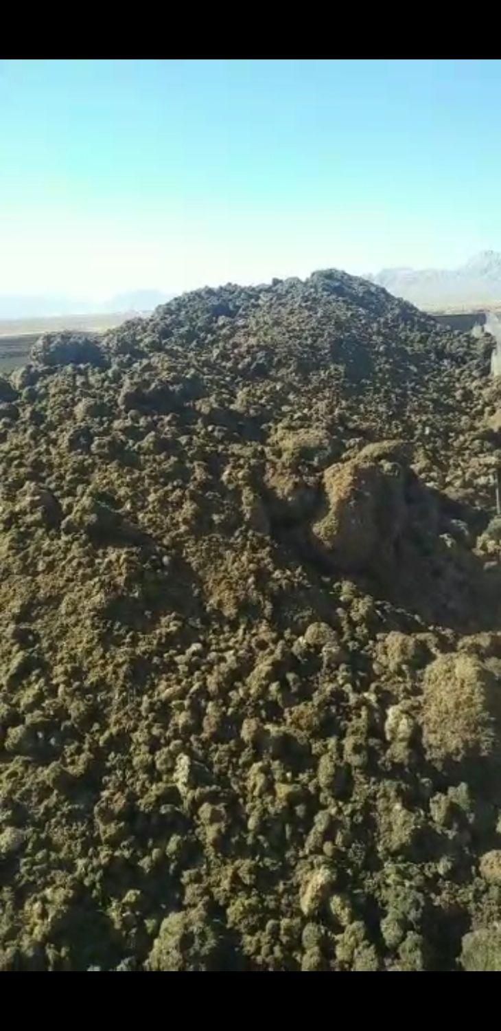 فروش ویژه کود خشک مستقیم از گاوداری|خدمات باغبانی و درختکاری|اصفهان, بهارستان|دیوار