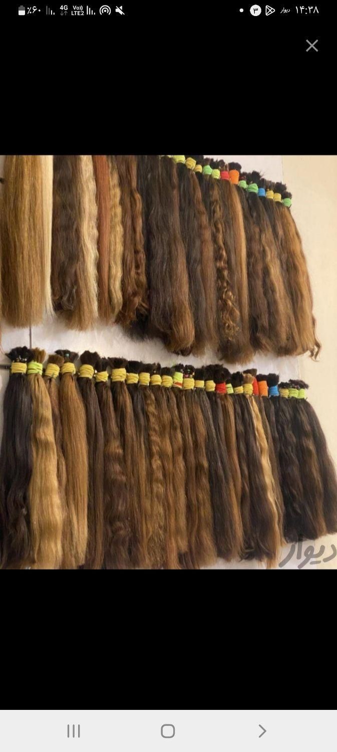 مو خریدار اصلی موی طبیعی بانوان|خدمات آرایشگری و زیبایی|کنگاور, |دیوار