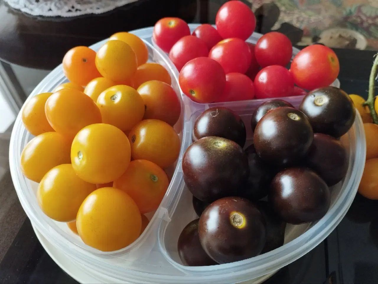 بذر گوجه فرنگی گیلاسی ارگانیک (قرمز، زرد، مشکی)|گل و گیاه طبیعی|بابلسر, |دیوار