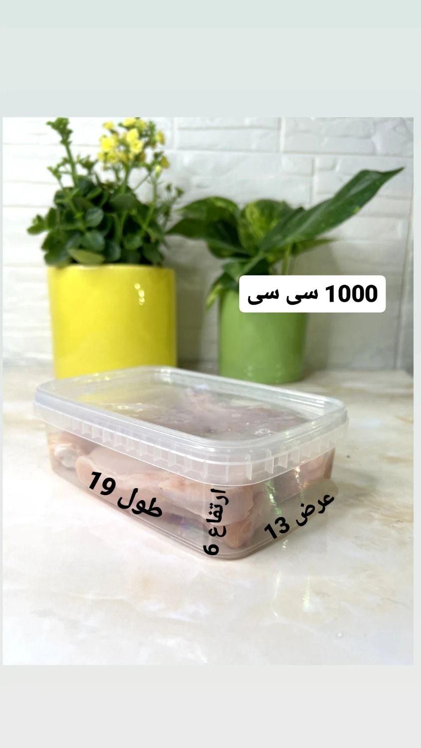 ظرف نگهدارنده فریزری ۸۵۰ سی سی|ظروف نگهدارنده، پلاستیکی، یک‌بارمصرف|اسلام‌شهر, |دیوار