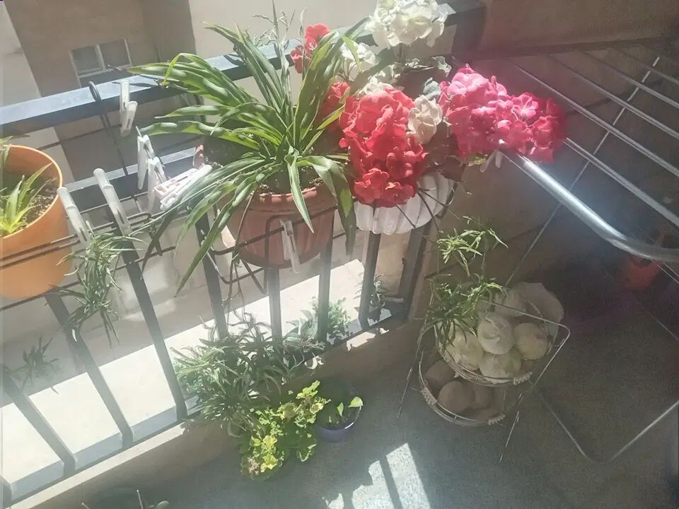 ملک دو طبقه  دارای مغازه  جمعا ۱۸۵ متر زمین|فروش زمین و ملک کلنگی|تهران, منیریه|دیوار