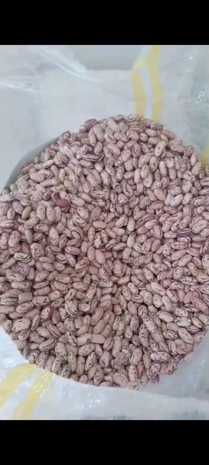 لوبیاقرمز کیلویی ۱۰۰تومان چیتی ۲۰۰عدس ۱۰۰نخود۱۱۰|خوردنی و آشامیدنی|پاکدشت, پاکدشت (مامازند)|دیوار