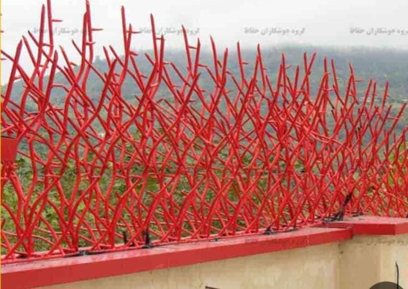 حفاظ روی دیوار شاخگوزنی میلگردی ،بوته ای،در پنجره|خدمات پیشه و مهارت|مشهد, الهیه|دیوار