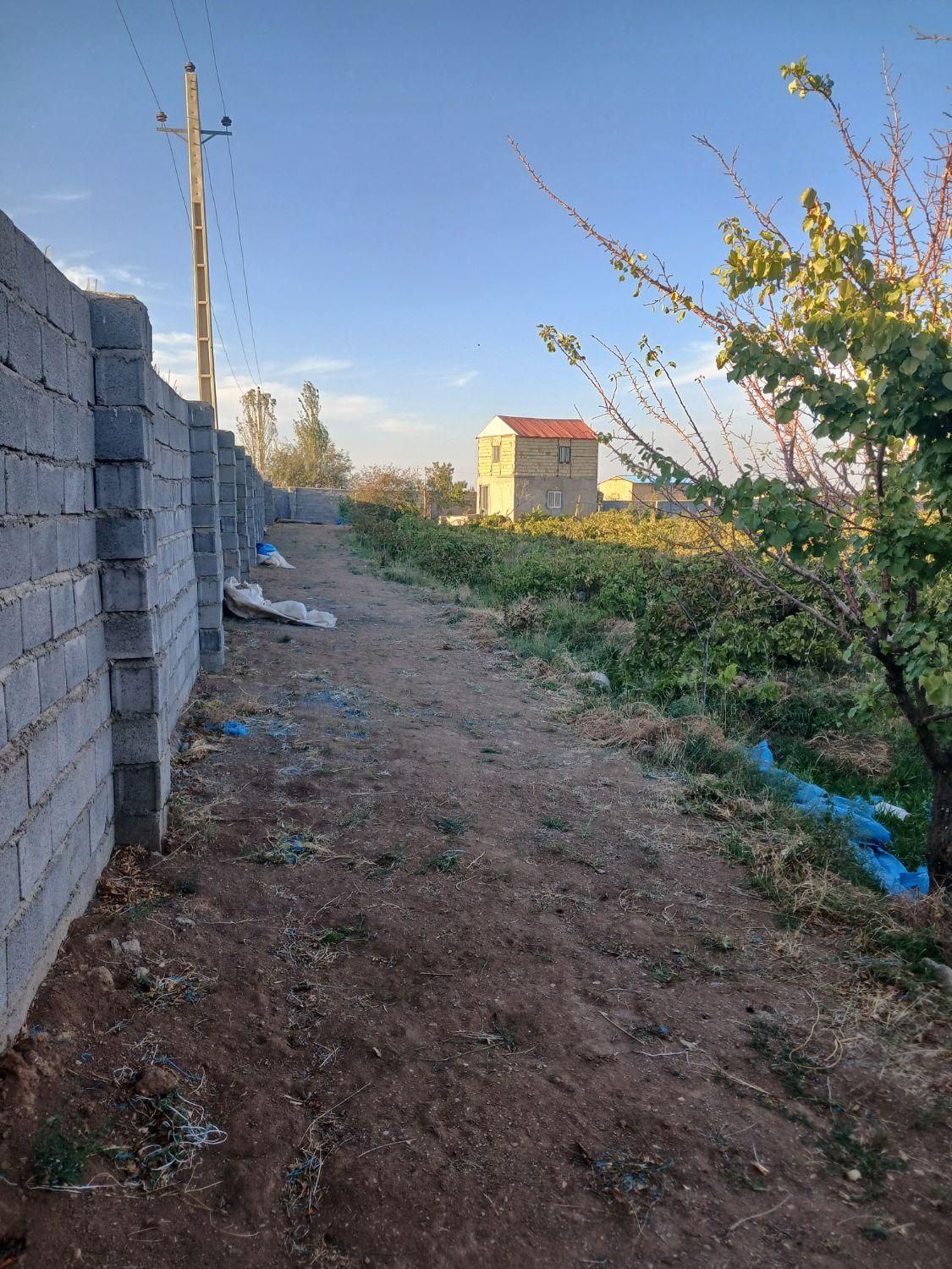 باغ انگور  ۸۵۰۰ متر چهاردیواری|فروش دفتر صنعتی، کشاورزی، تجاری|قزوین, |دیوار