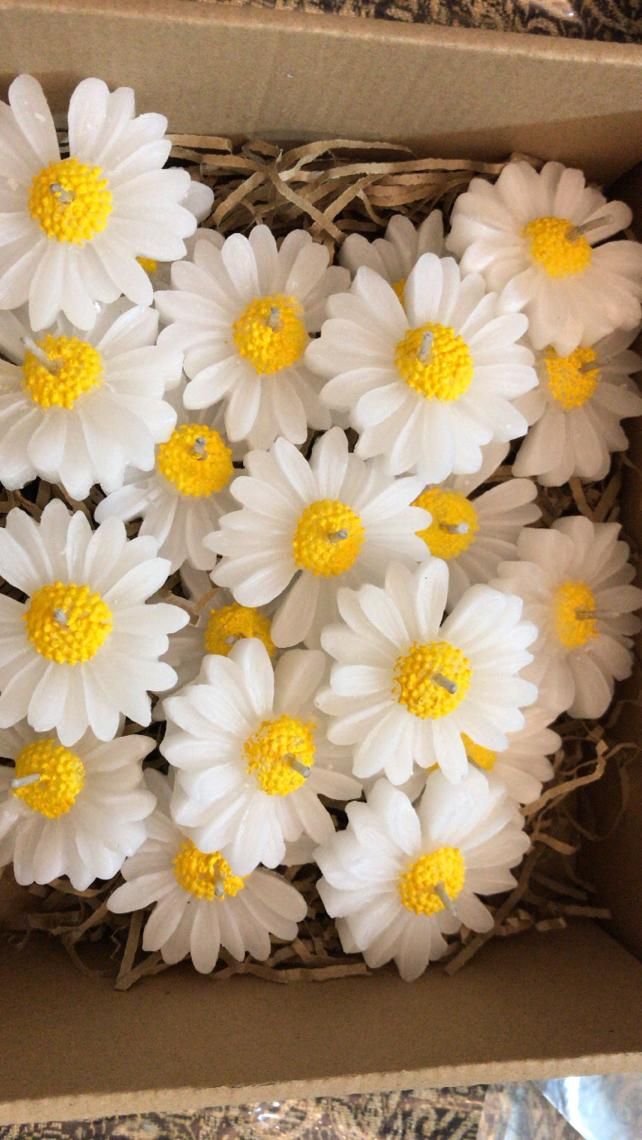 شمع بابونه|صنایع دستی و سایر لوازم تزئینی|تهران, ستارخان|دیوار