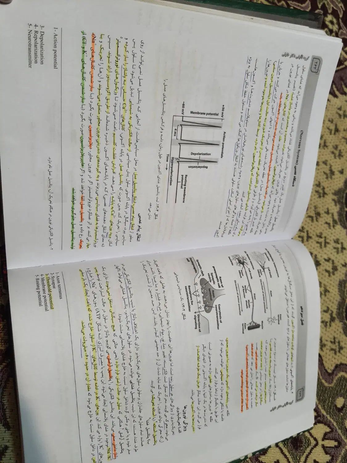 سلولی مولکولی IQB منصور عرب|کتاب و مجله آموزشی|اصفهان, هزارجریب|دیوار