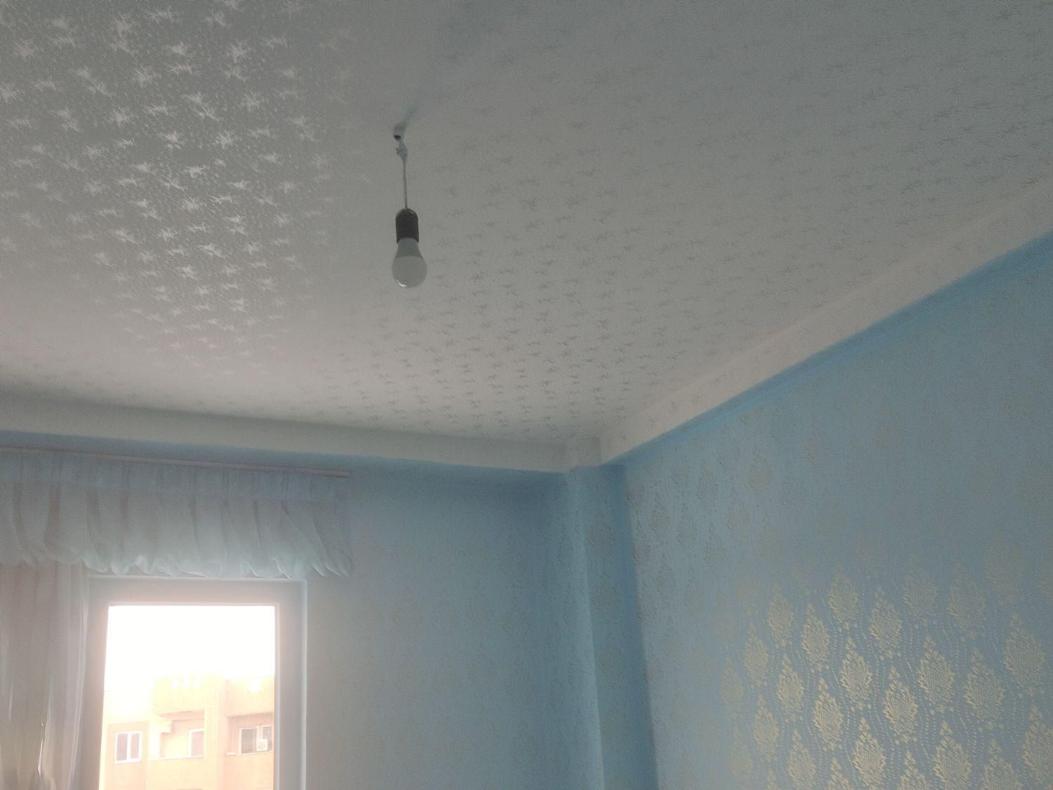 نقاشی ساختمان و طرح کاغذ دیواری|خدمات پیشه و مهارت|زنجان, |دیوار