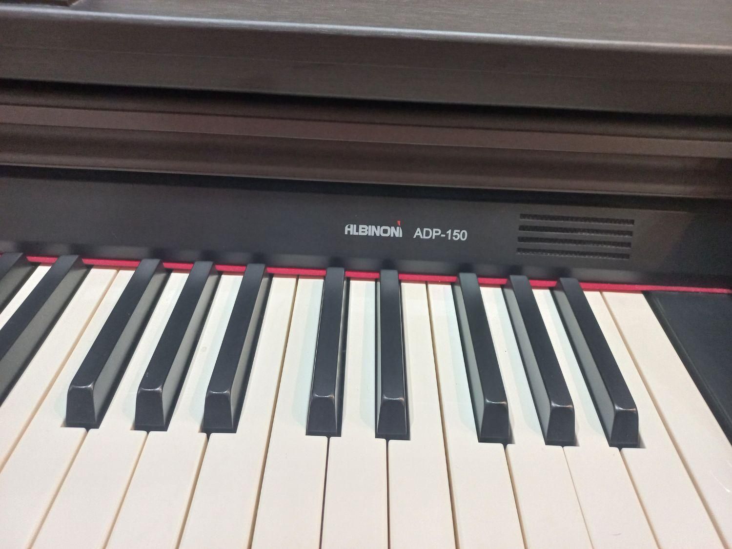 پیانو دیجیتال Albinoni|پیانو، کیبورد، آکاردئون|تهران, بلوار کشاورز|دیوار