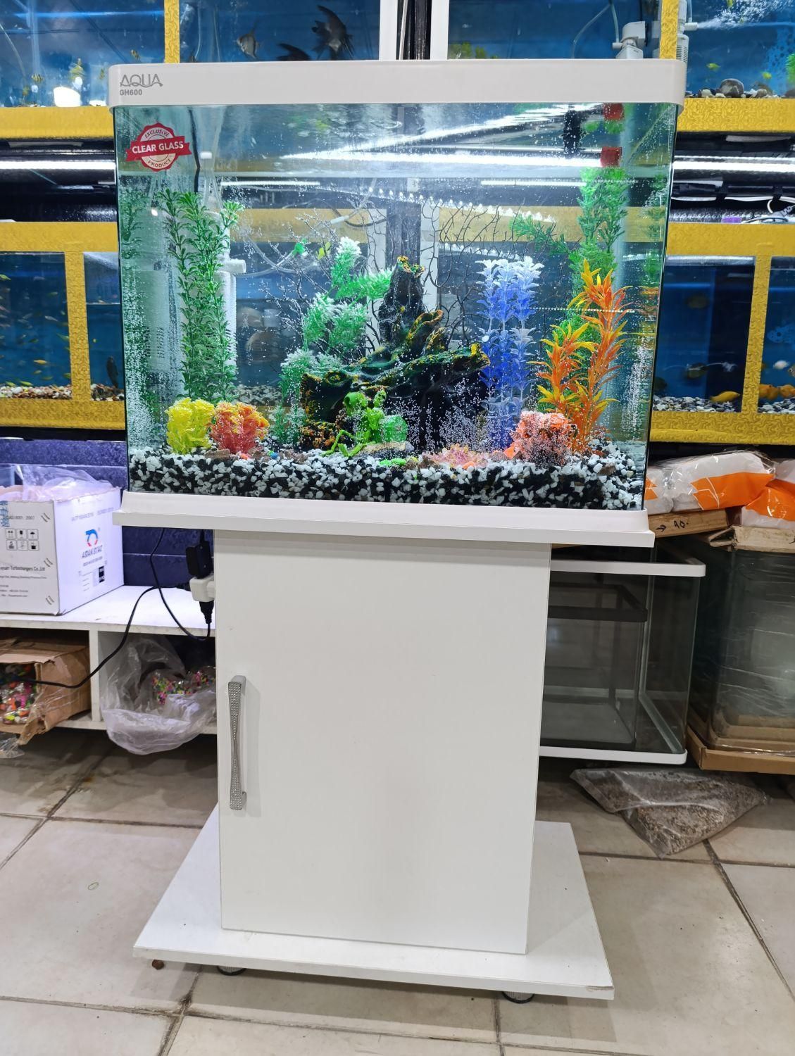 آکواریوم مرکزی خلیج فارس|ماهی|یاسوج, |دیوار