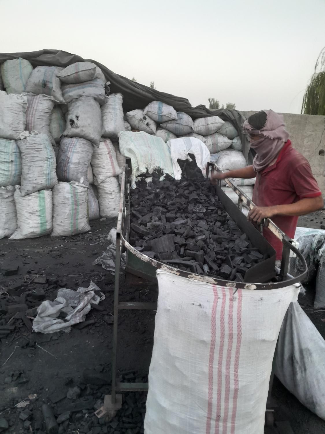 فروش مستقیم انواع زغال کبابی|عمدهفروشی|تهران, قلهک|دیوار