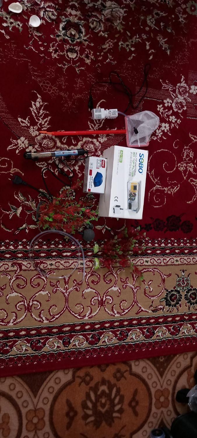 اکواریوم۱۰۰ لیتری|ماهی|دوگنبدان, |دیوار