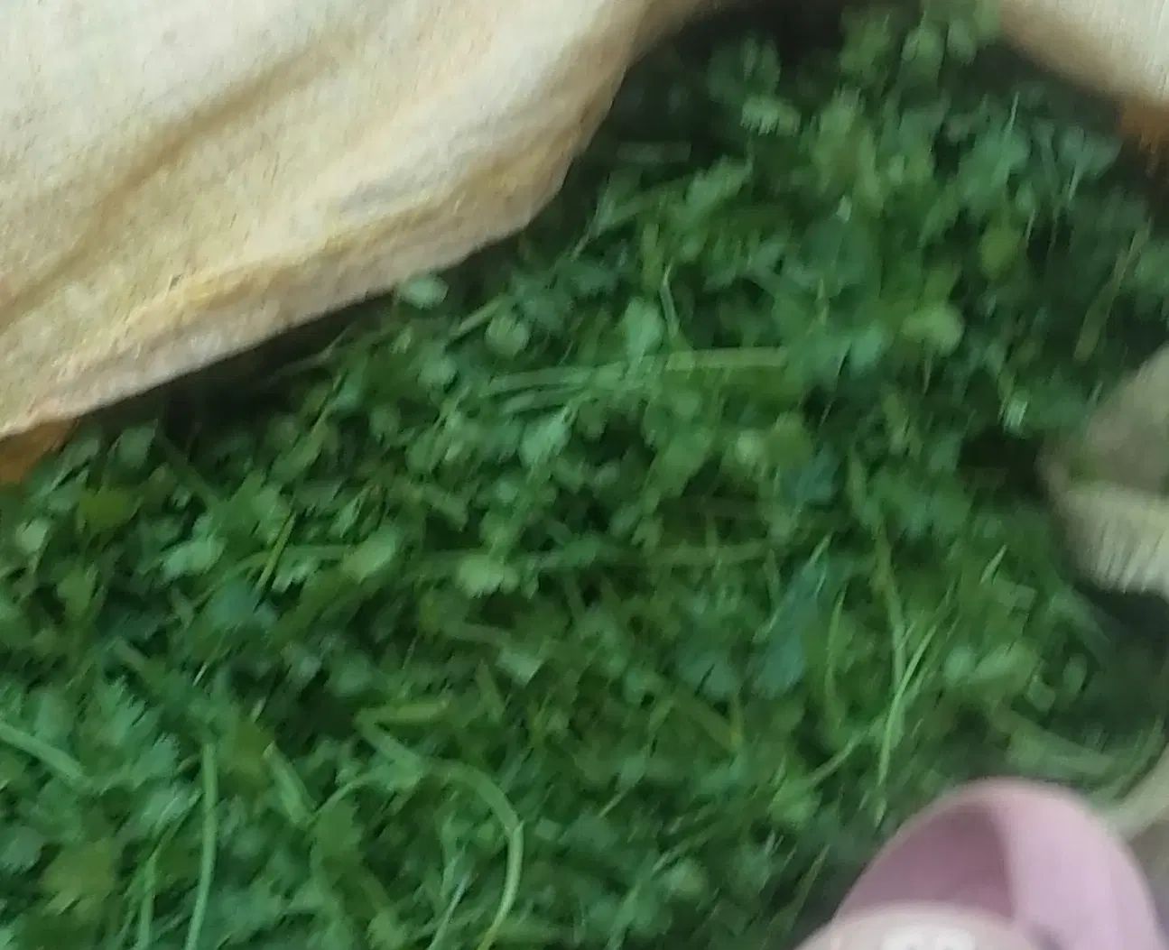 سبزی قورمه سبزی انواع شیره خرما انگور 3شیره|خوردنی و آشامیدنی|نیشابور, شهید بهشتی|دیوار
