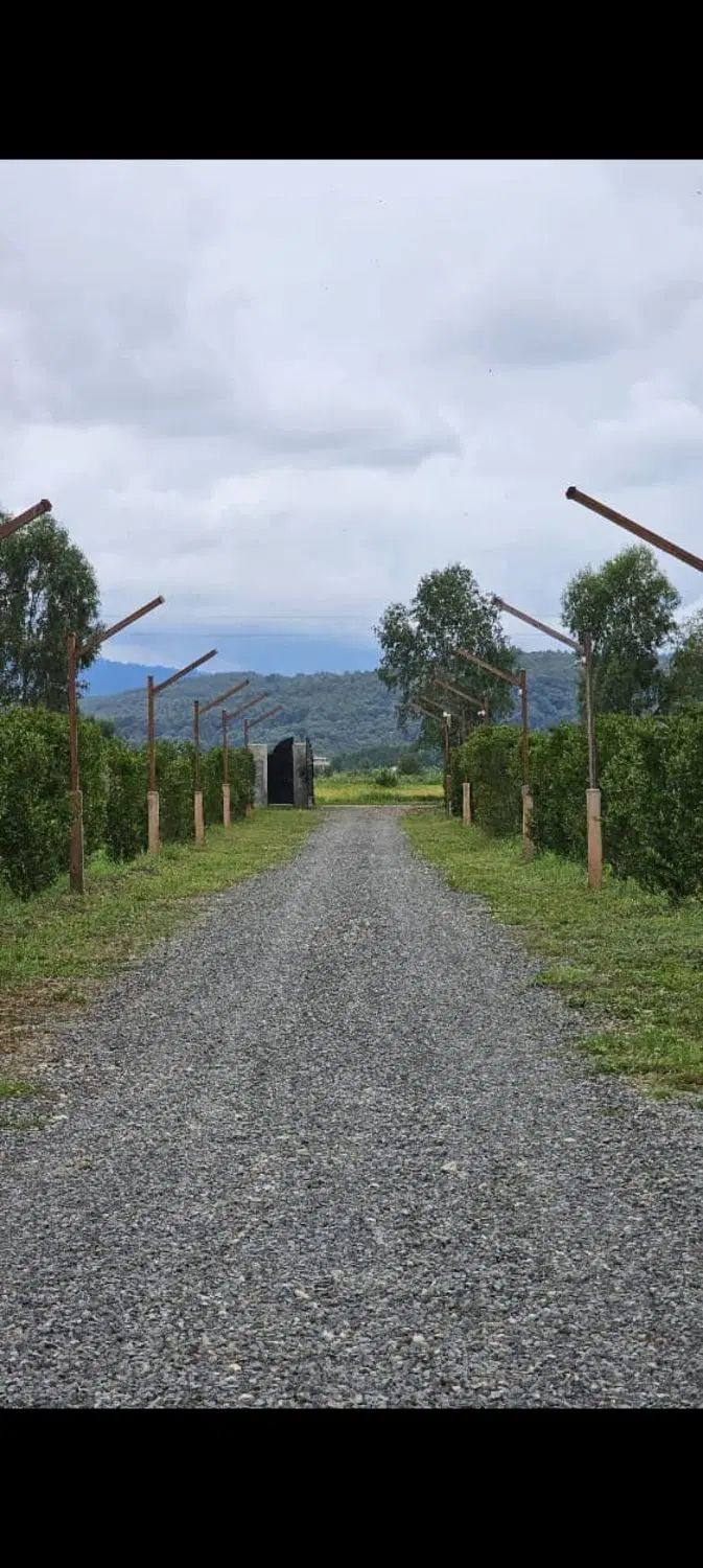 همین الان متری دو میلیون سود تو جیبته(فروش فوری)|فروش زمین و ملک کلنگی|نور, |دیوار