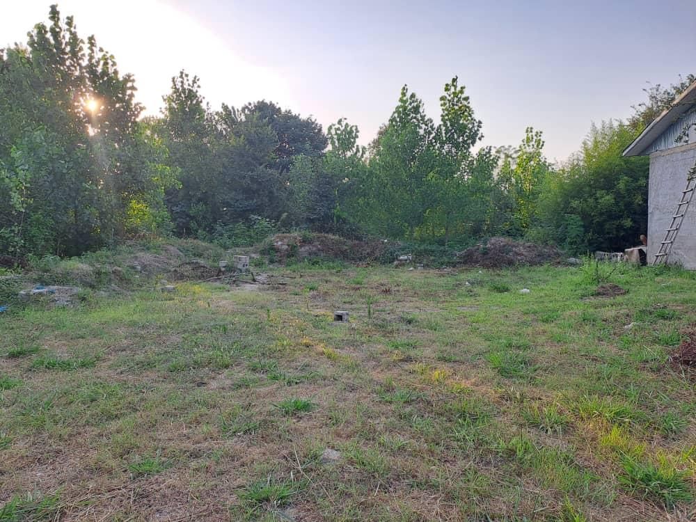 زمین 300 متری لاهیجان سند تک برگ پروانه ویلا|فروش زمین و ملک کلنگی|لاهیجان, آهندان|دیوار