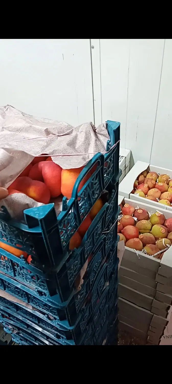 سفارش میوه درجه ۱ میدان تره بار|خوردنی و آشامیدنی|تهران, میدان میوه و تره‌بار مرکزی|دیوار