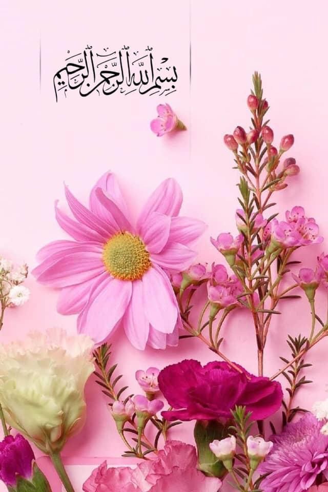 پیشنهاد شراکت با۱۴میلیون تومن سرمایه|فعالیت داوطلبانه|الوند, |دیوار