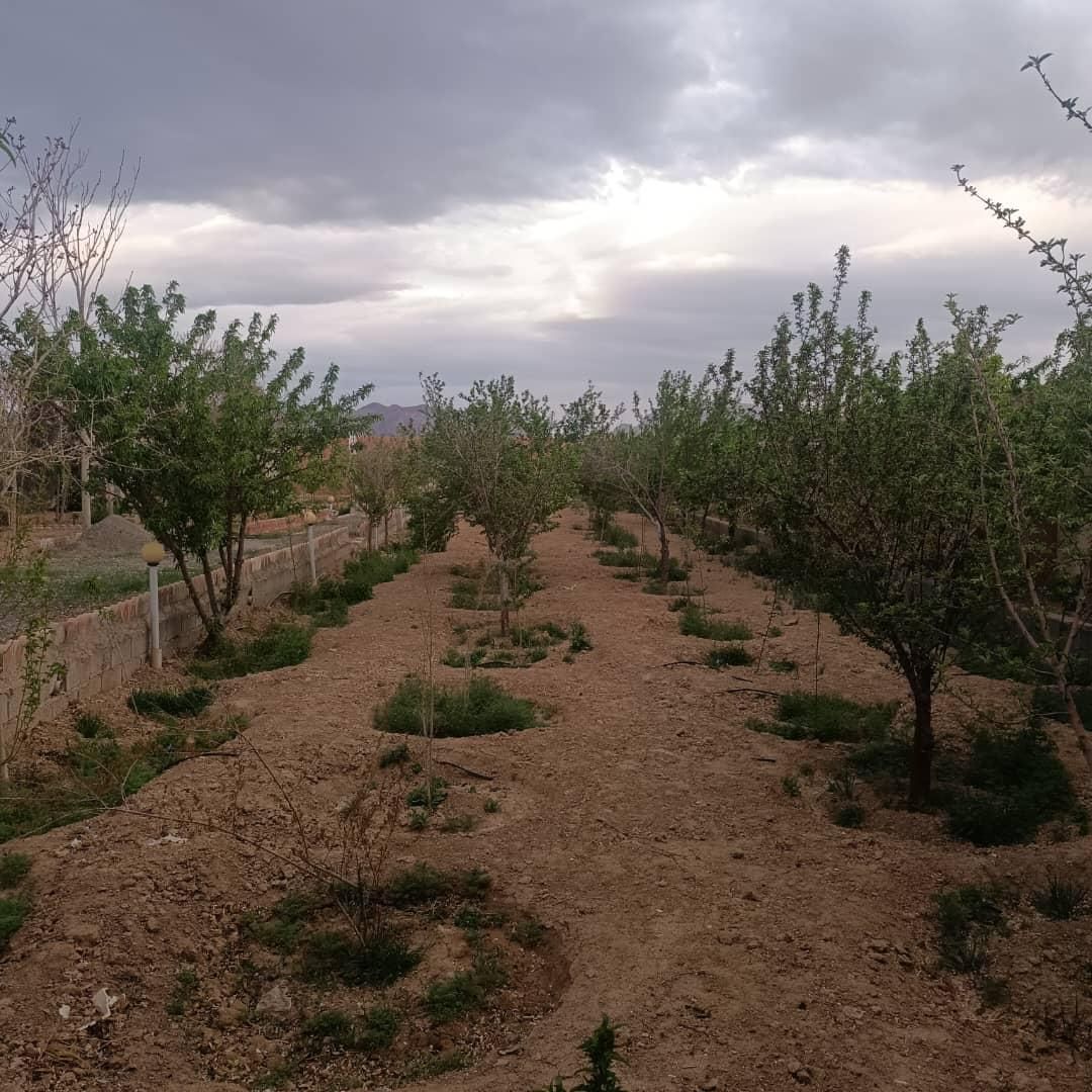 باغ کهریزسنگ بهترین لوکیشن خیابان گل مینا۱۳۱۷متر|فروش خانه و ویلا|نجف‌آباد, کهریزسنگ|دیوار