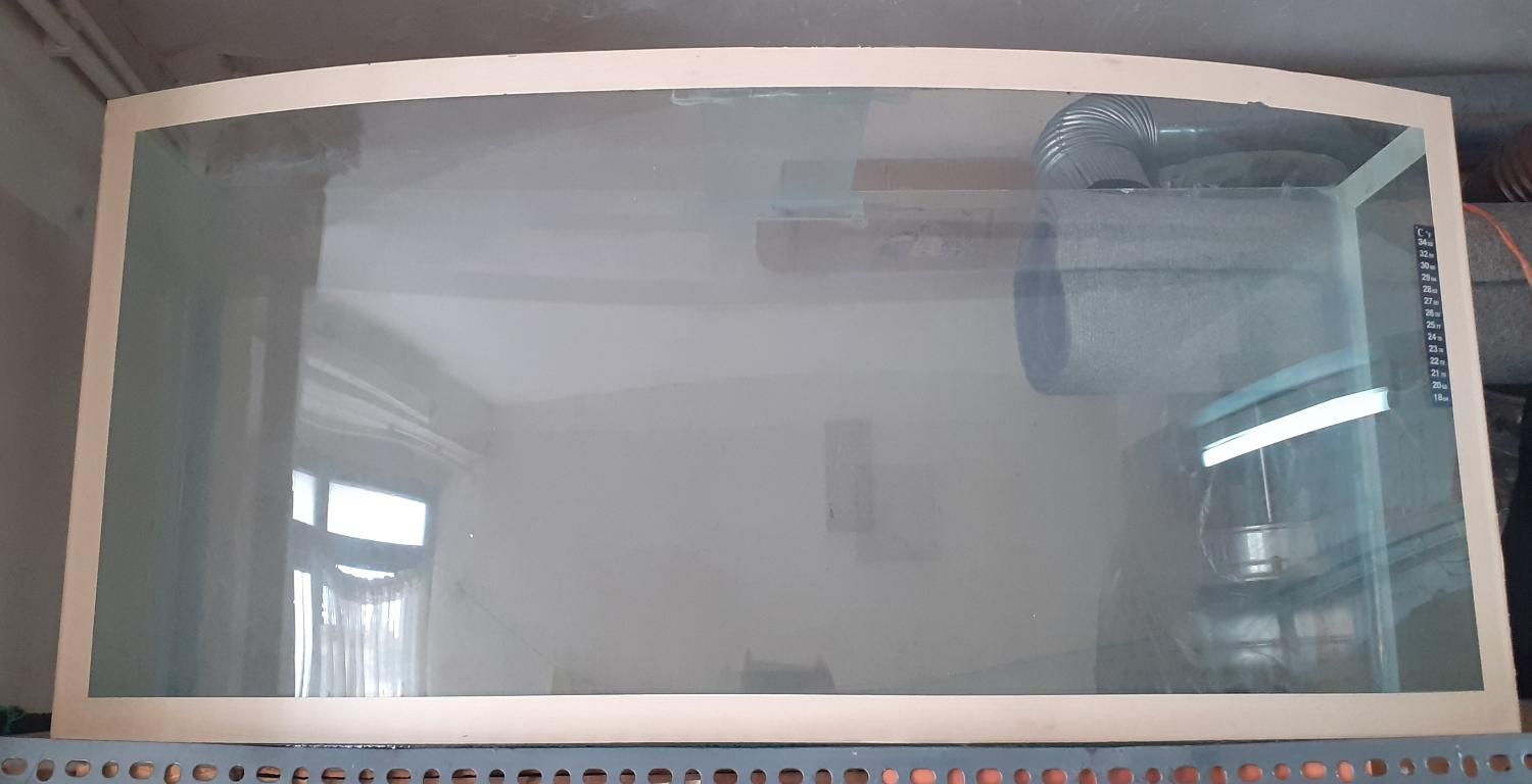 آکواریوم شیشه خم|ماهی|تبریز, |دیوار