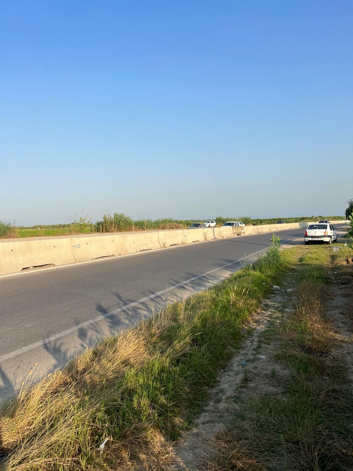 ۱۰۰۰ متر زمین تجاری با ۳۰ متر بر جاده اصلی|فروش دفتر صنعتی، کشاورزی، تجاری|کیاکلا, |دیوار