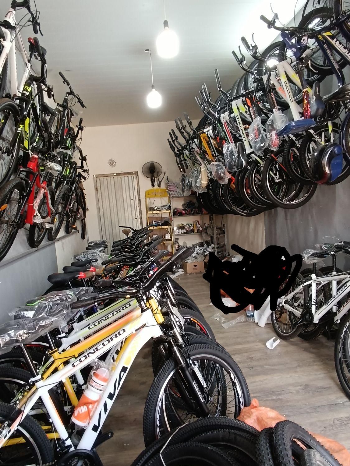 دوچرخه ایرانی و خارجی|دوچرخه، اسکیت، اسکوتر|گنبد کاووس, |دیوار