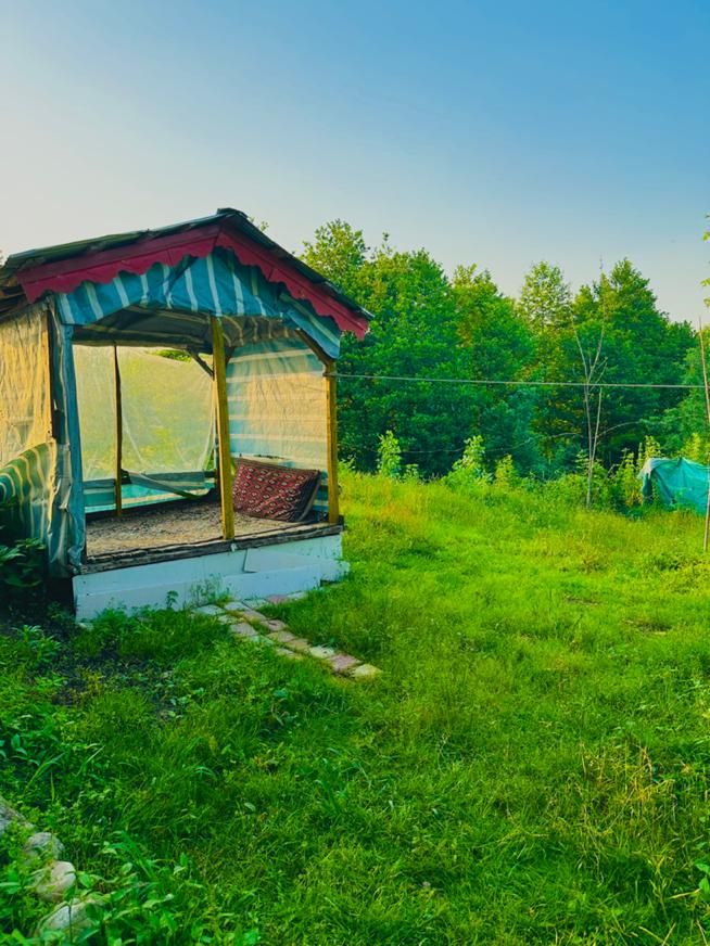 اجاره روزانه سوییت در فومن|اجارهٔ کوتاه‌مدت آپارتمان و سوئیت|فومن, |دیوار