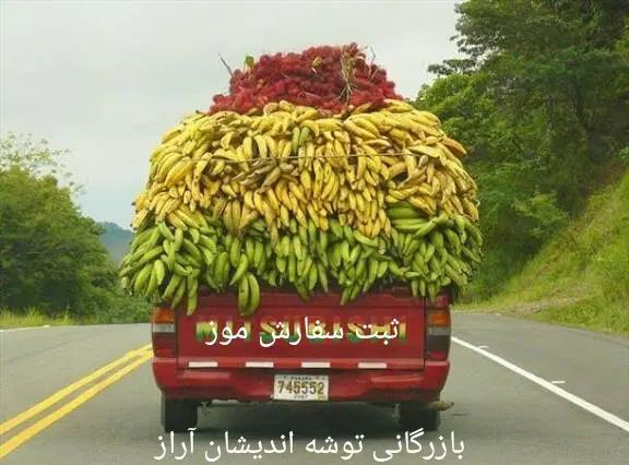 ثبت سفارش موز|خوردنی و آشامیدنی|تهران, نیاوران|دیوار