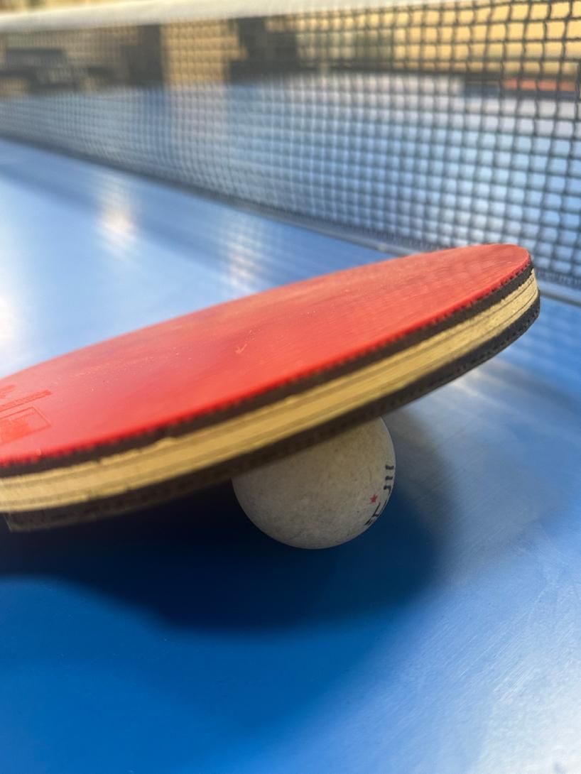 استخدام مربی پینگ پنگ|استخدام آموزشی|تهران, امیرآباد|دیوار