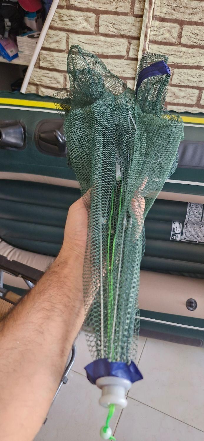 گرگور تور بچه ماهی|ماهیگیری|اصفهان, باغ فدک|دیوار