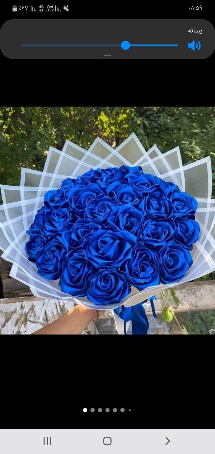 گل روبانی|گل مصنوعی|رشت, پاره بیجار|دیوار